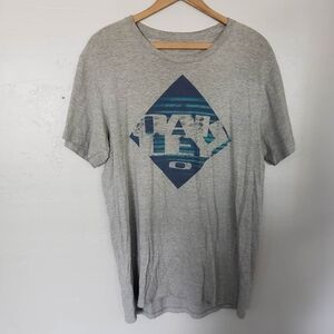 Oakley Men's Large Regular Fit Grey Short Sleeve T-shirt Blue Graphic Tee